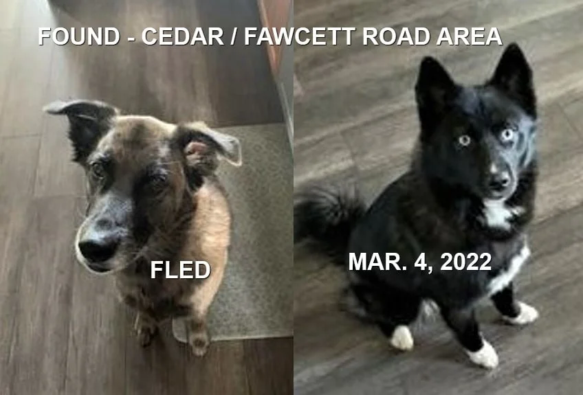 HAPPY ENDINGS - CEDAR BC. / MAR. 1, 2022