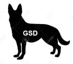 HAPPY ENDINGS - DUNCAN BC. / MAR 3, 2022