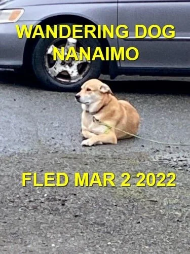 UNRESOLVED - NANAIMO BC. / MAR. 2, 2022