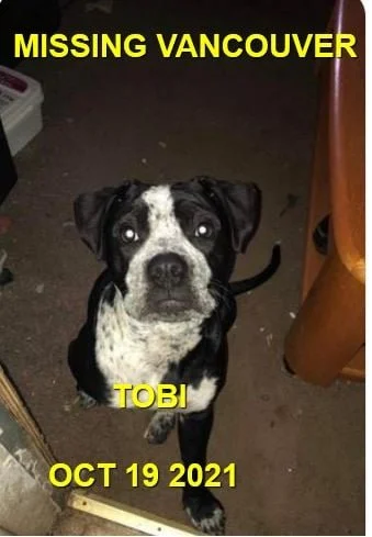 STILL MISSING - VANCOUVER BC / TOBI / SEPT. 25, 2021