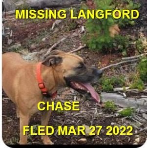 HAPPY ENDINGS - LANGFORD BC / CHASE / MAR. 27, 2022
