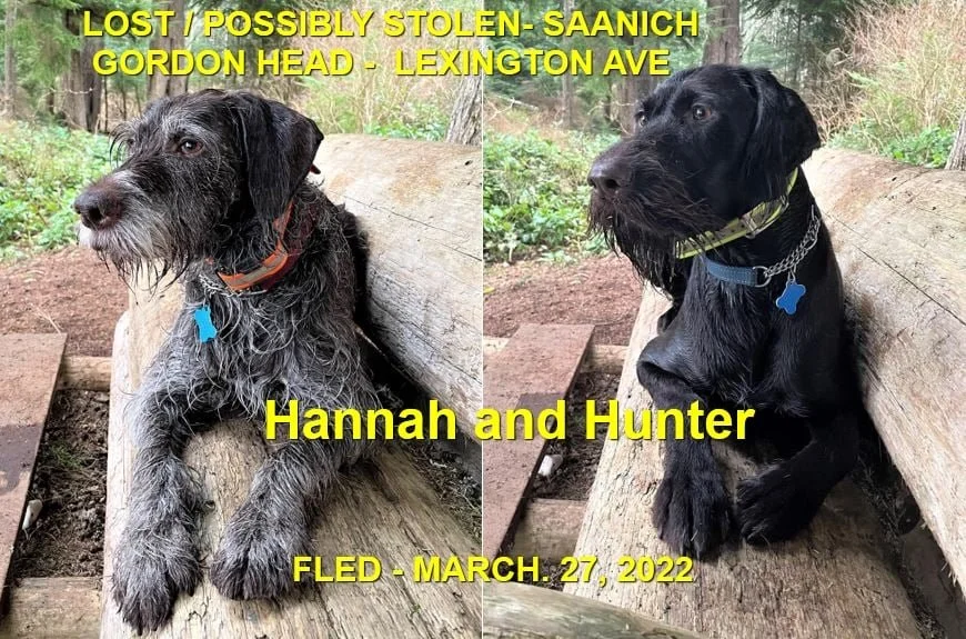 HAPPY ENDINGS - SAANICH BC / HANNAH &amp; HUNTER / MAR. 27, 2022