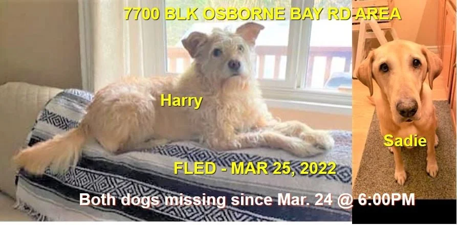 HAPPY ENDINGS - CROFTON BC / SADIE &amp; HARRY / MAR. 24, 2022