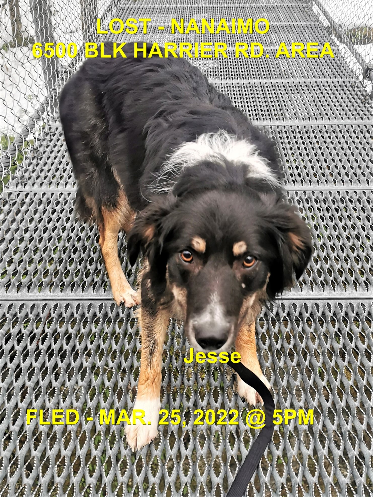 HAPPY ENDINGS - NANAIMO BC. / JESSE / MAR. 25, 2022