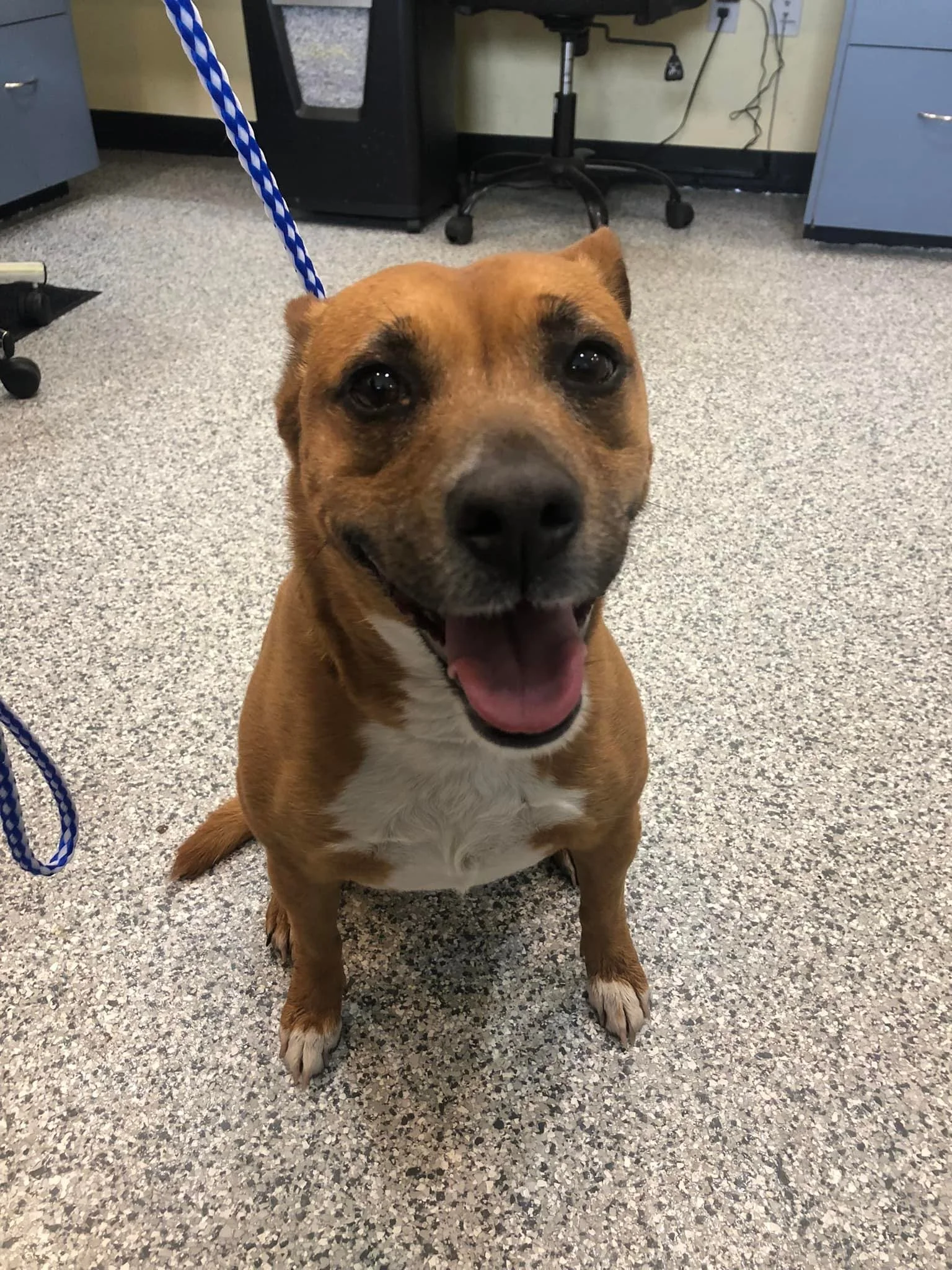 GONE TO SHELTER / HAPPY ENDINGS - LADYSMITH BC / EMMA /MAR. 22, 2022