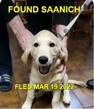 HAPPY ENDINGS - SAANICH BC. / MAR. 19, 2022