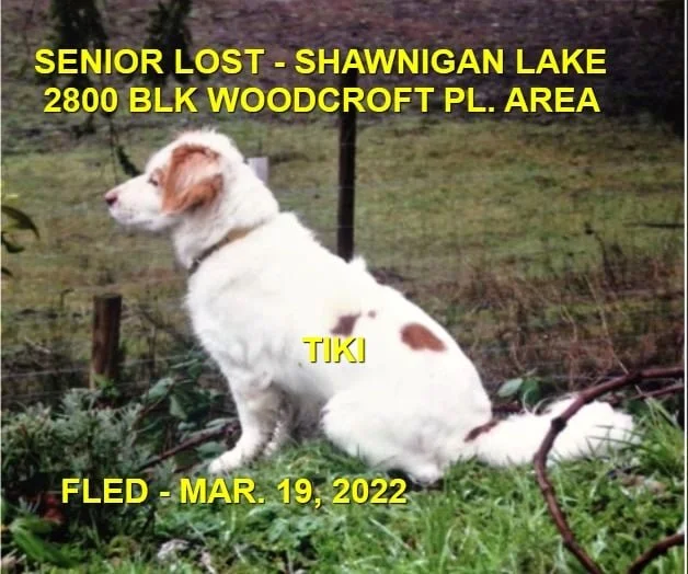 HAPPY ENDINGS - SHAWNIGAN LAKE BC / TIKI / MAR. 19, 2022