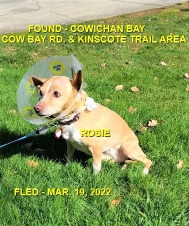 HAPPY ENDINGS - COWICHAN BAY BC. / ROSIE / MAR. 19, 2022