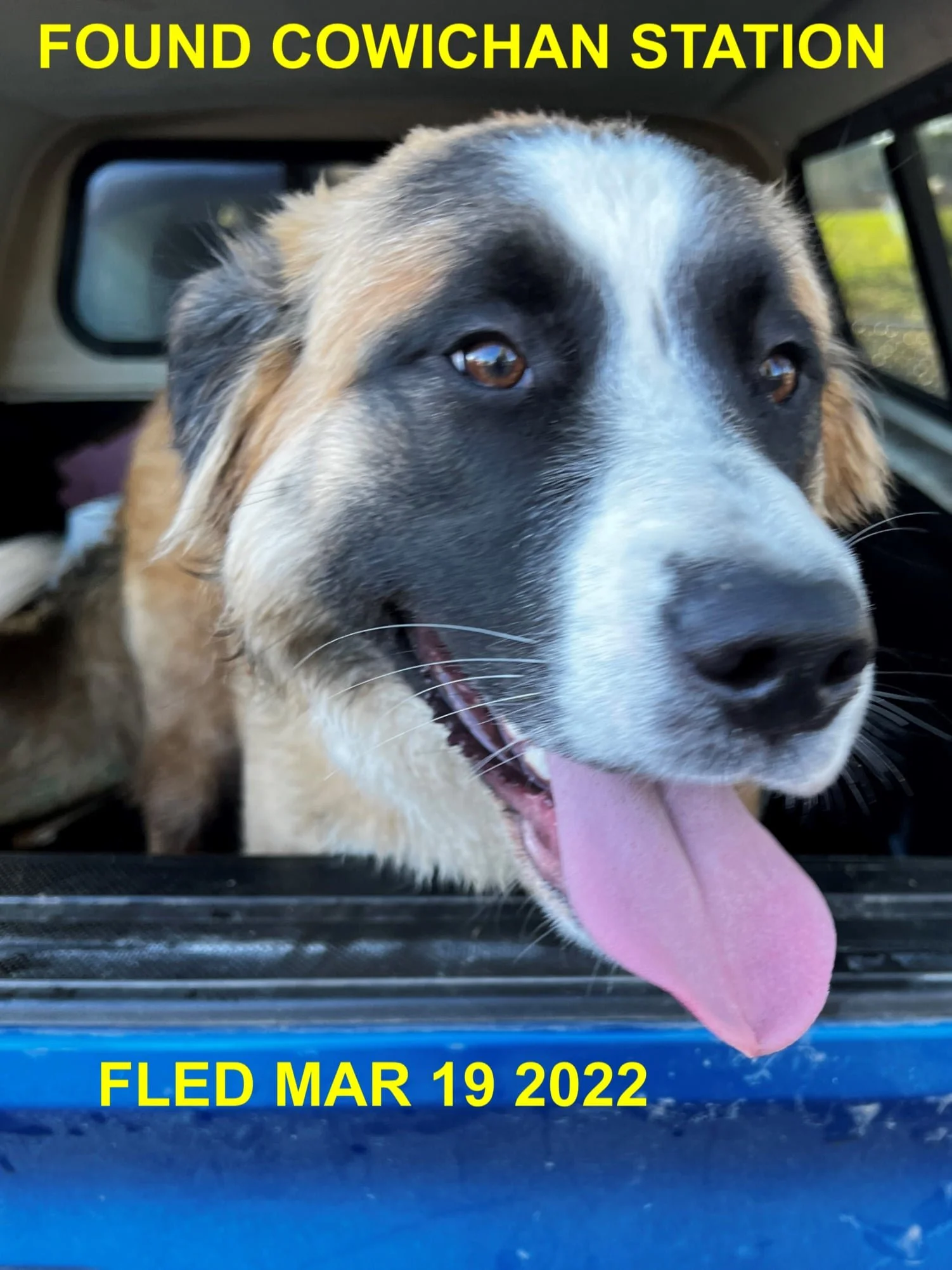 HAPPY ENDINGS - DUNCAN BC. / MAR 19, 2022