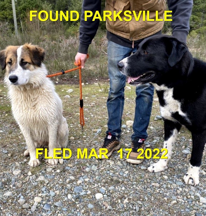 HAPPY ENDINGS - PARKSVILLE BC. / MAR. 17, 2022