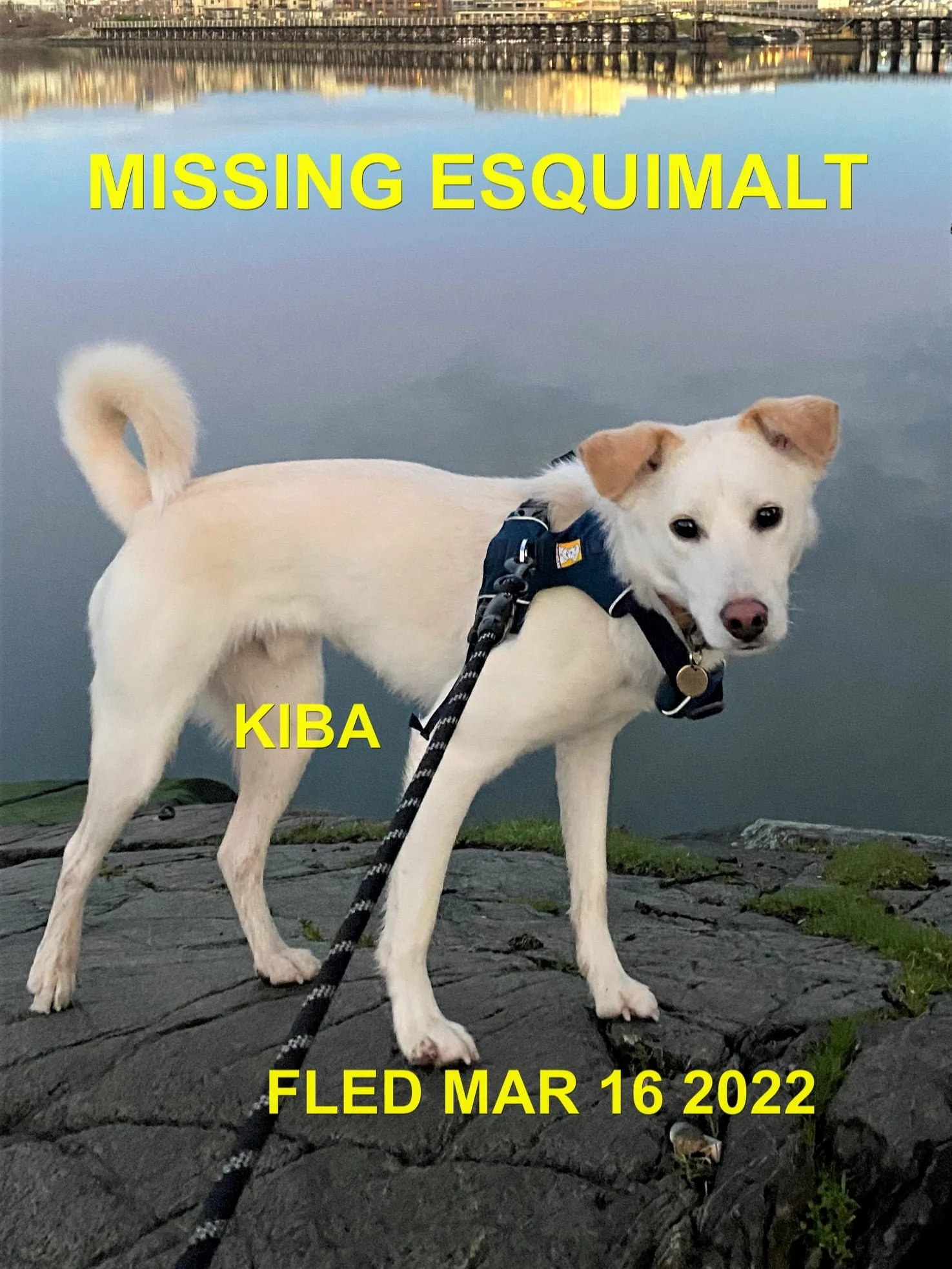 HAPPY ENDINGS - ESQUIMALT BC - KIBA / MAR. 16, 2022