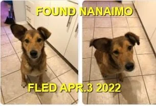 HAPPY ENDINGS - NANAIMO BC / APR. 3, 2022