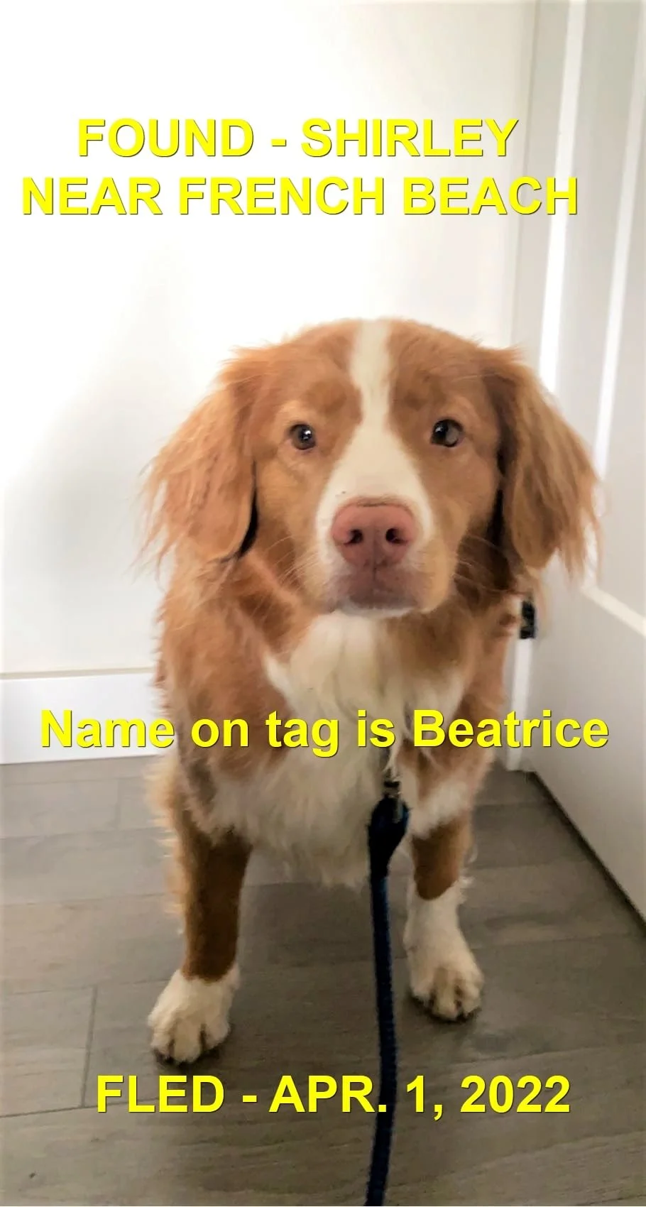 HAPPY ENDINGS - SHIRLEY VI BC / BEATRICE / APR. 1, 2022