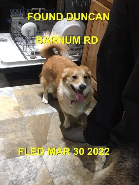 HAPPY ENDINGS - DUNCAN BC. / DAISY / MAR. 30, 2022