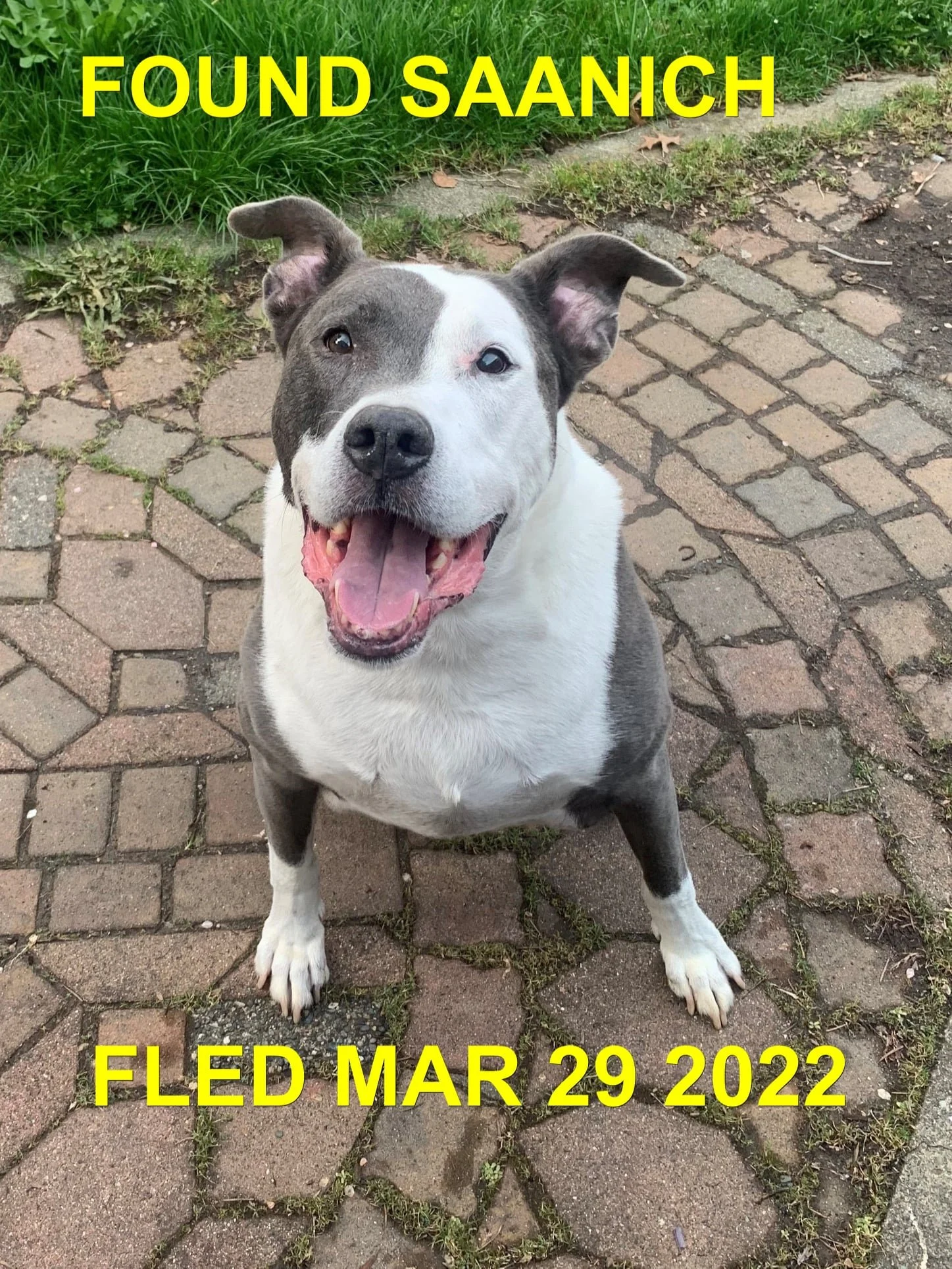 HAPPY ENDINGS - SAANICH BC / MAR. 29, 2022