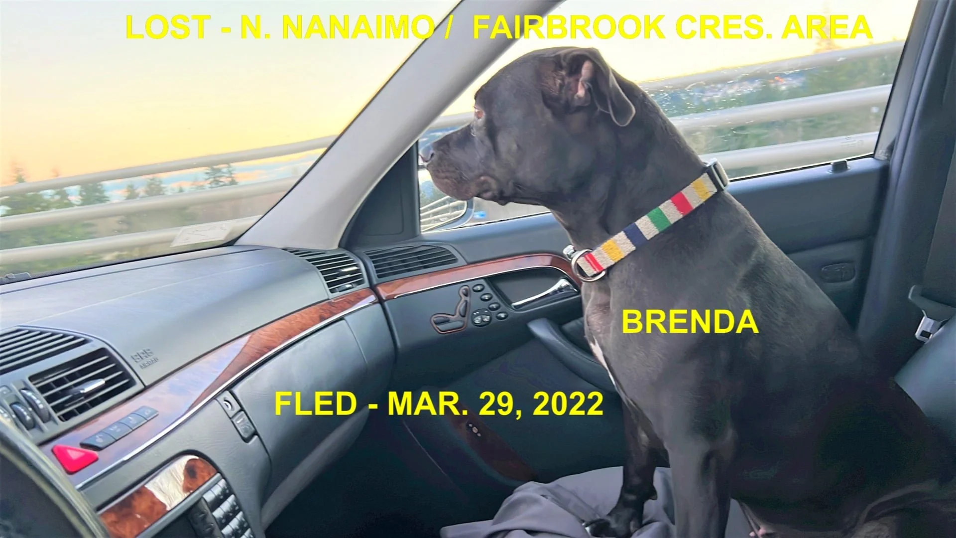 HAPPY ENDINGS -NANAIMO BC. / BRENDA / MAR. 29, 2022