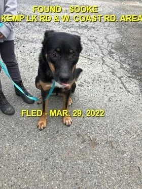 HAPPY ENDINGS - SOOKE BC. / MAR. 29, 2022