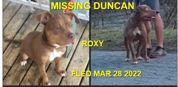 HAPPY ENDINGS - DUNCAN BC. / ROXY / MAR. 28M 2022 