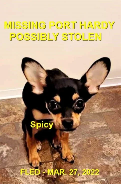 HAPPY ENDINGS - PORT HARDY BC / SPICY / MAR. 27, 2022