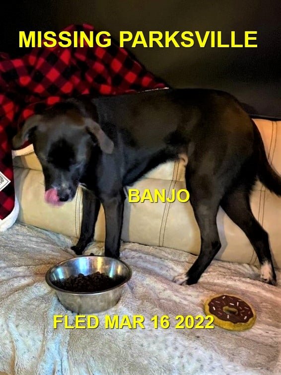 HAPPY ENDINGS - PARKSVILLE BC. / BANJO / MAR. 16, 2022