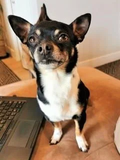 HAPPY ENDINGS - NANAIMO BC. / MAR. 16, 2022