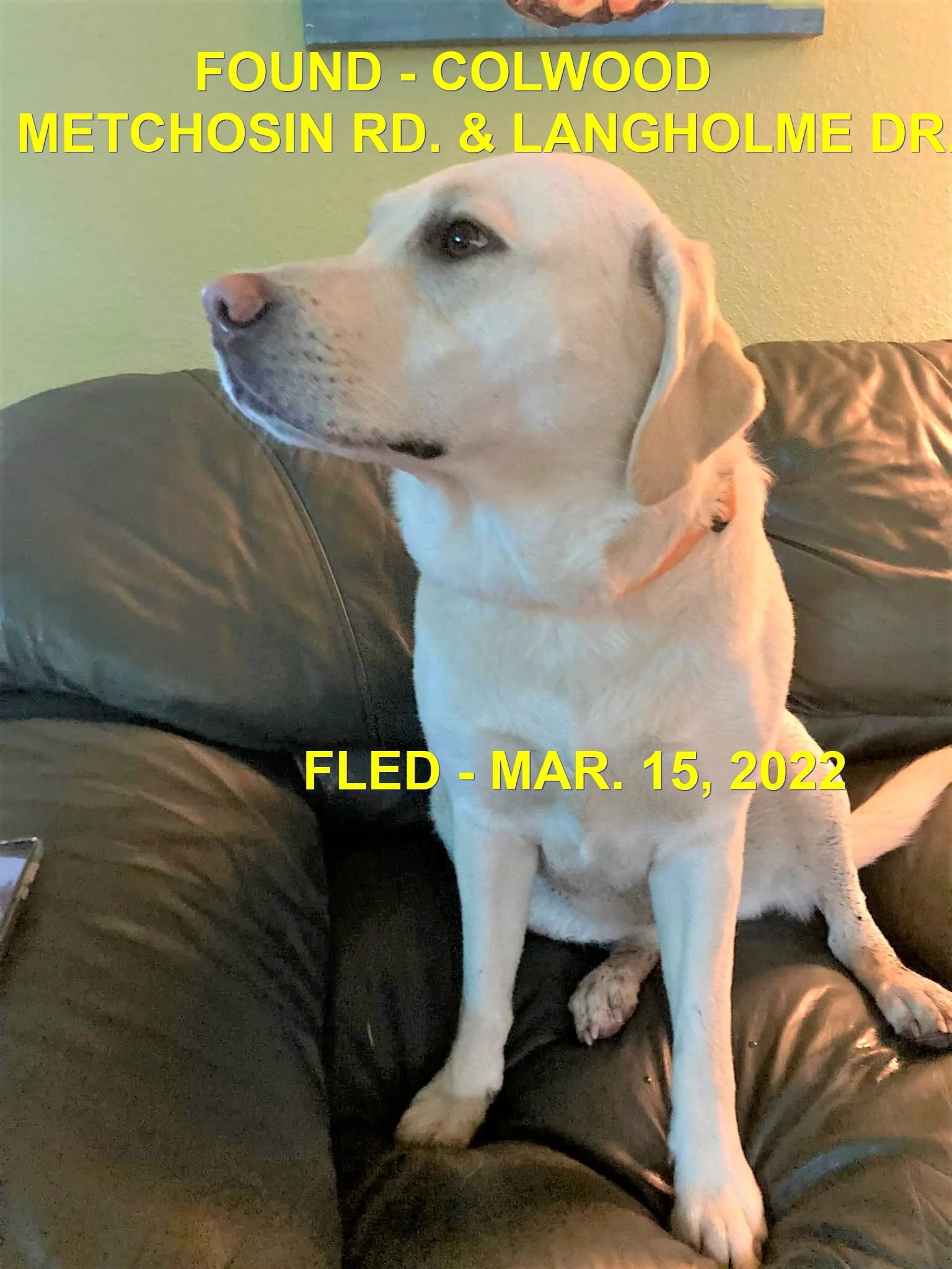 HAPPY ENDINGS - COLWOOD BC. / MAR. 15, 2022