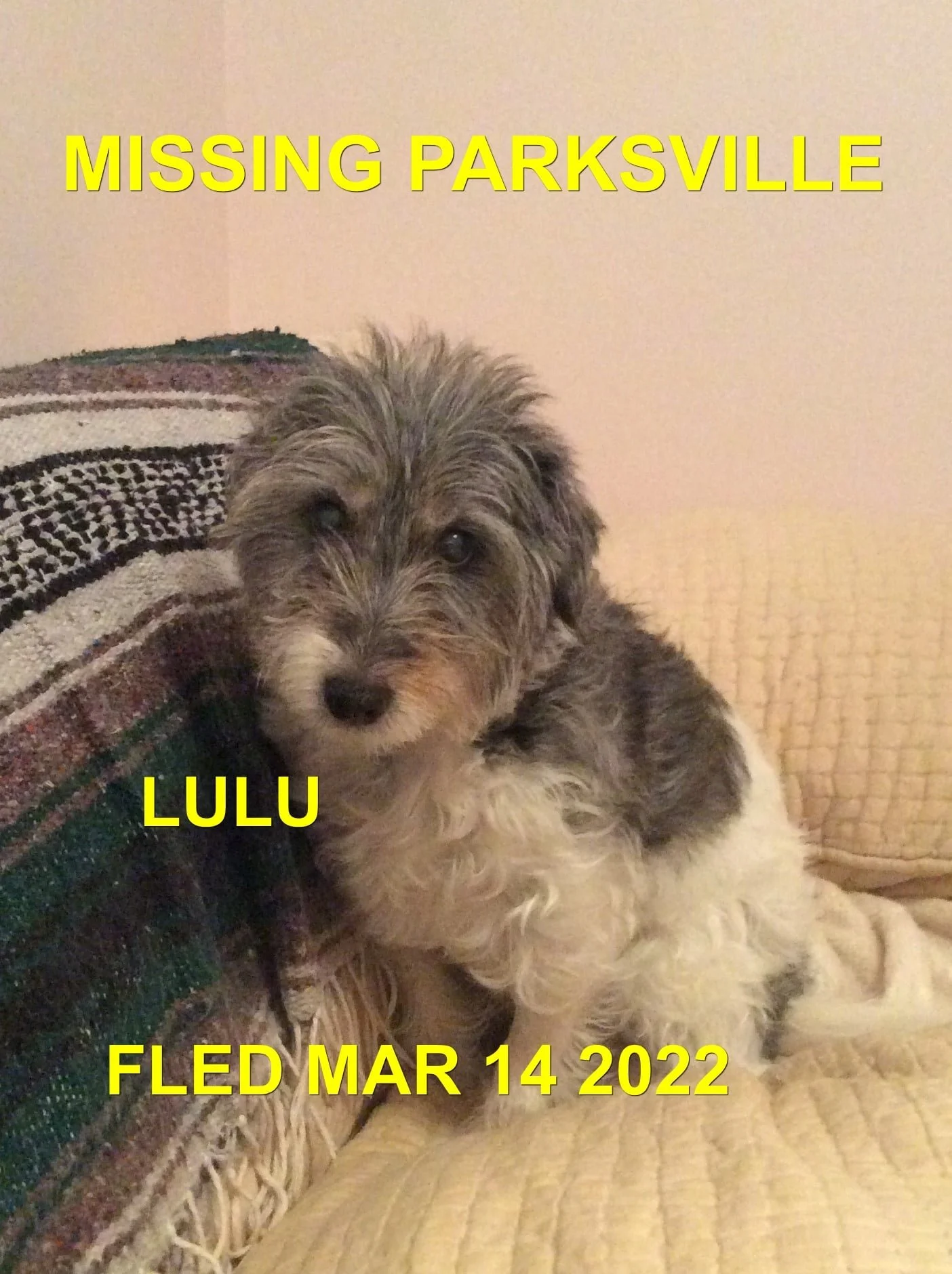 HAPPY ENDINGS - PARKSVILLE BC. / LULU / MAR. 13, 2022