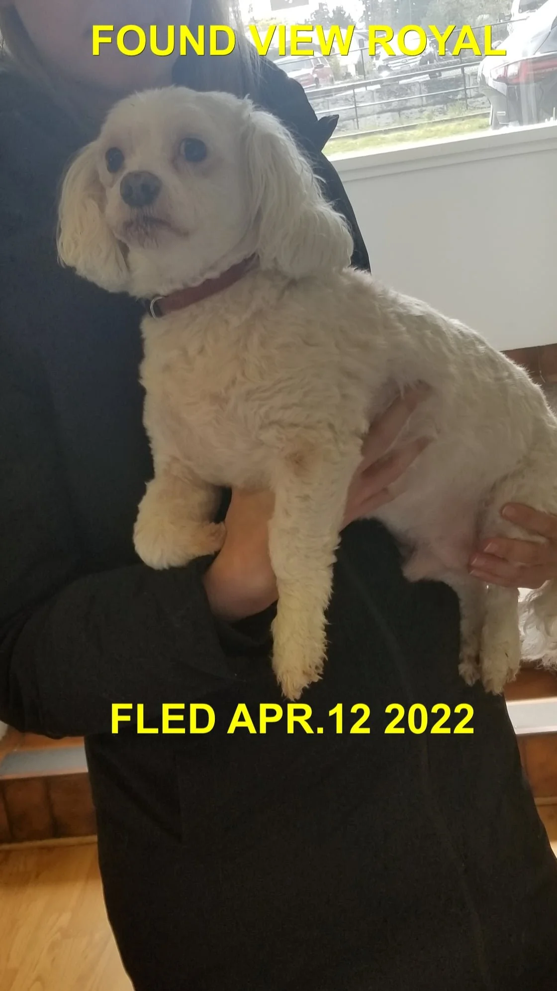 HAPPY ENDINGS - VIEW ROYAL BC. / APR. 12, 2022