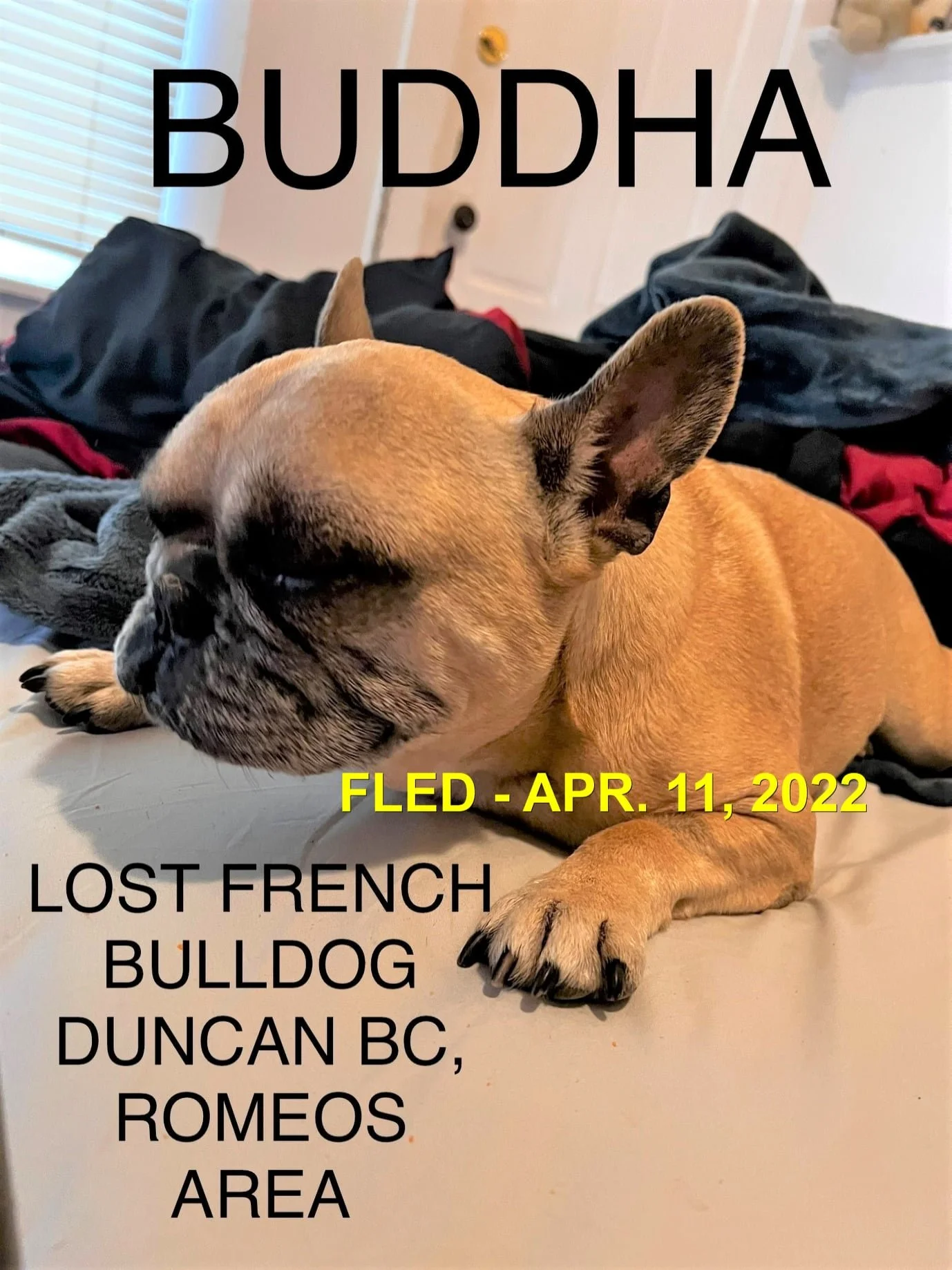 HAPPY ENDINGS - DUNCAN BC / BUDDHA / APR. 11, 2022