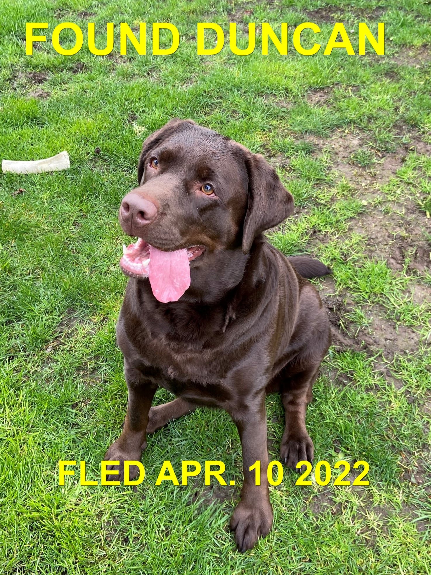 HAPPY ENDINGS - DUNCAN BC / APR. 10, 2022