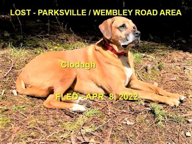 HAPPY ENDINGS - PARKSVILLE BC / CLODAGH / APR. 8, 2022