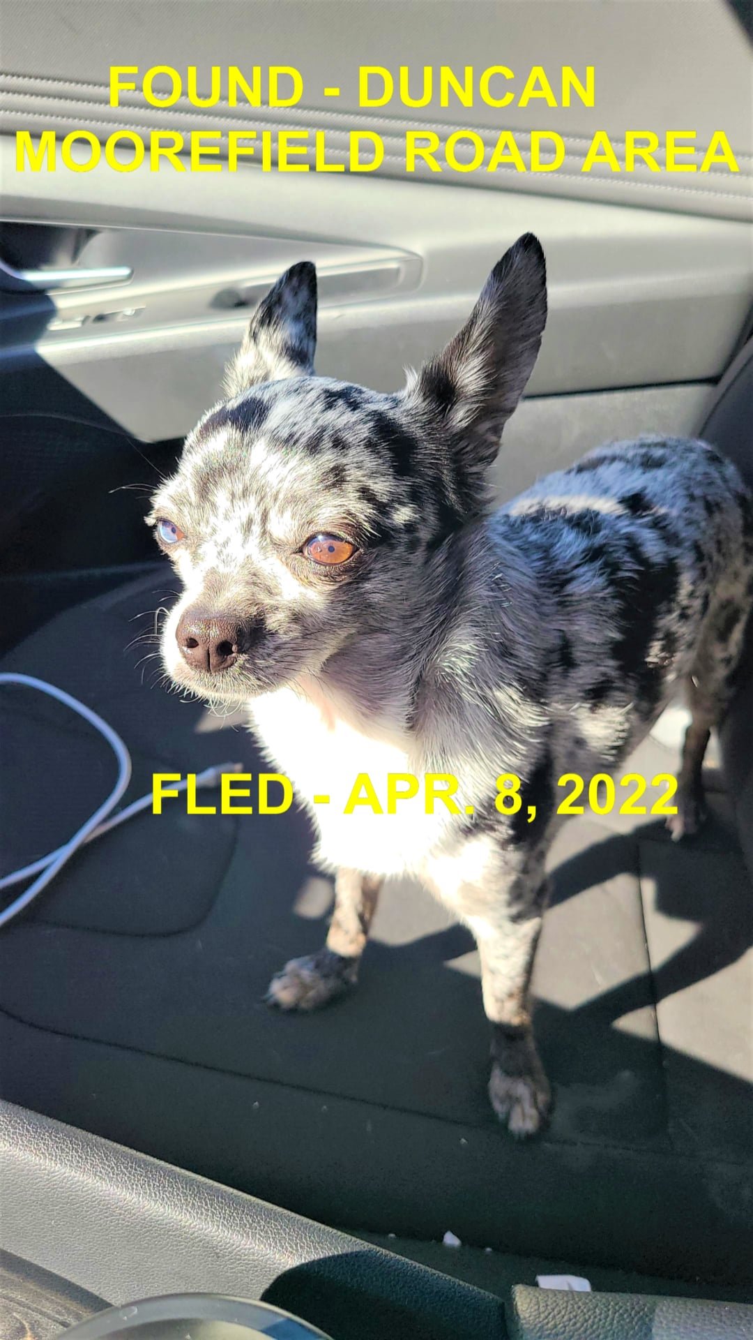 HAPPY ENDINGS - DUNCAN BC. / LORENZO / APR. 8, 2022