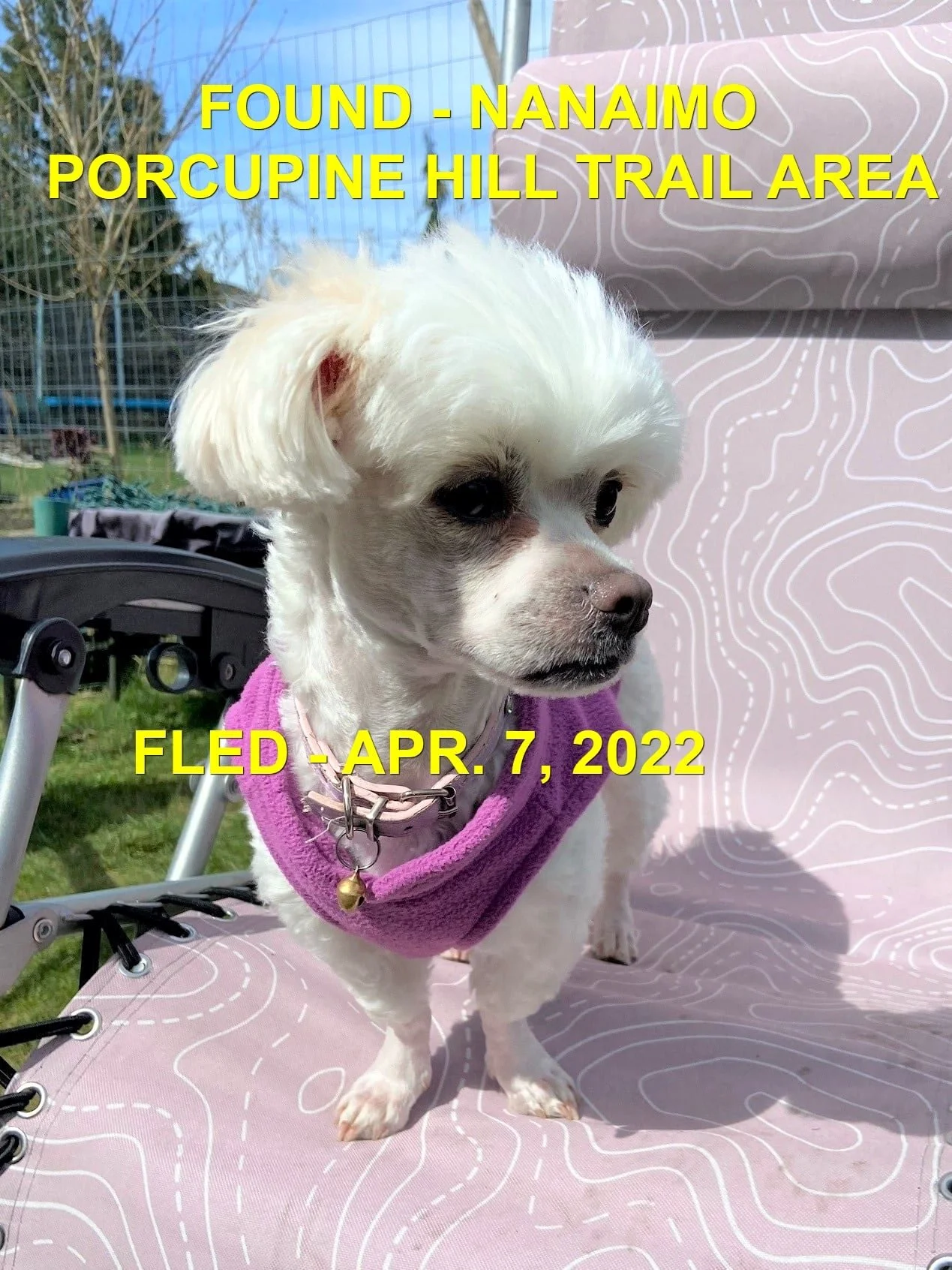 HAPPY ENDINGS - NANAIMO BC. / APR. 7, 2022