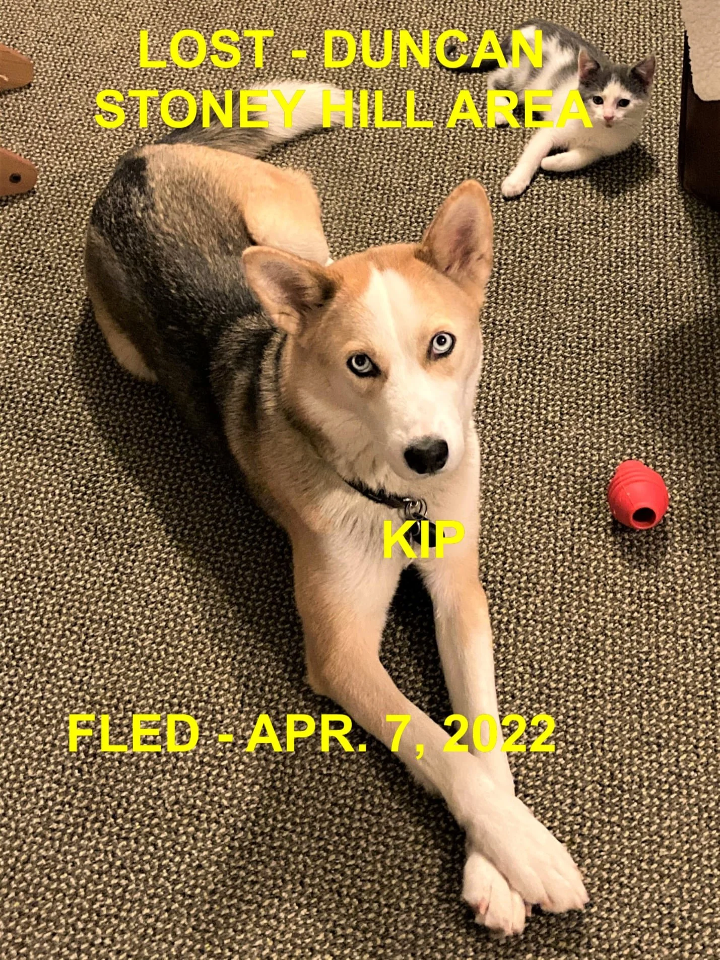 HAPPY ENDINGS - DUNCAN BC. / KIP / APR. 7, 2022