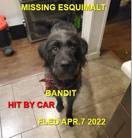 HAPPY ENDINGS - ESQUIMALT BC. / BANDIT / APR. 6, 2022