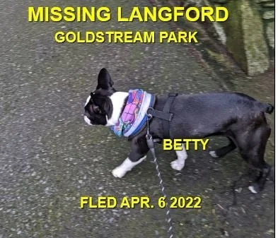 HAPPY ENDINGS - LANGFORD BC. / BETTY / APR. 6, 2022