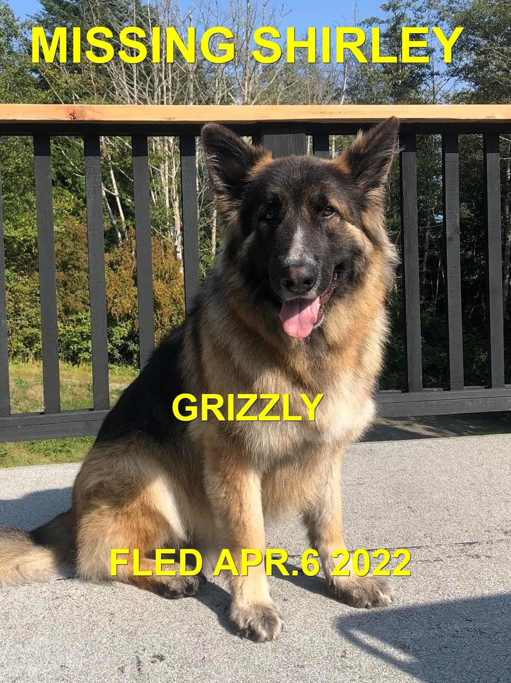 HAPPY ENDINGS - SHIRLEY BC. / GRIZZLY / APR. 5, 2022