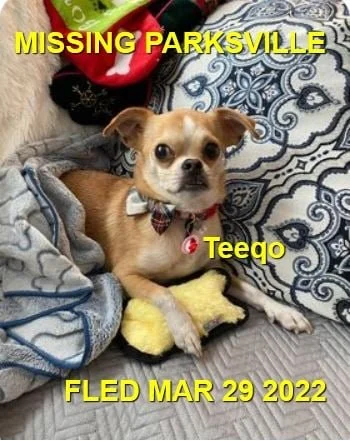 OVER THE RAINBOW BRIDGE - PARKSVILLE BC / TEEQO / MAR. 29, 2022