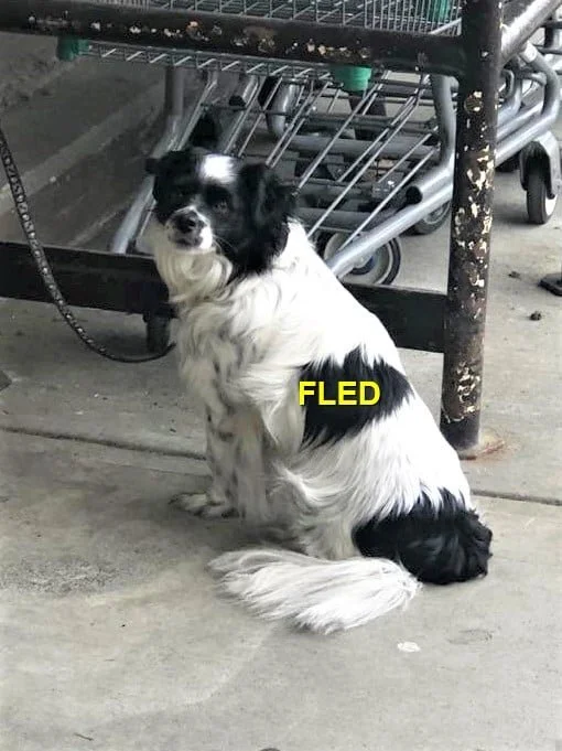 HAPPY ENDINGS - ESQUIMALT BC / MAR. 19, 2022