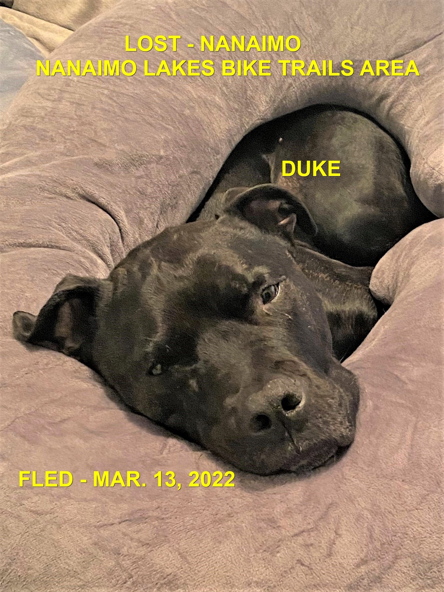 HAPPY ENDINGS - NANAIMO BC./ DUKE / MAR. 13, 2022
