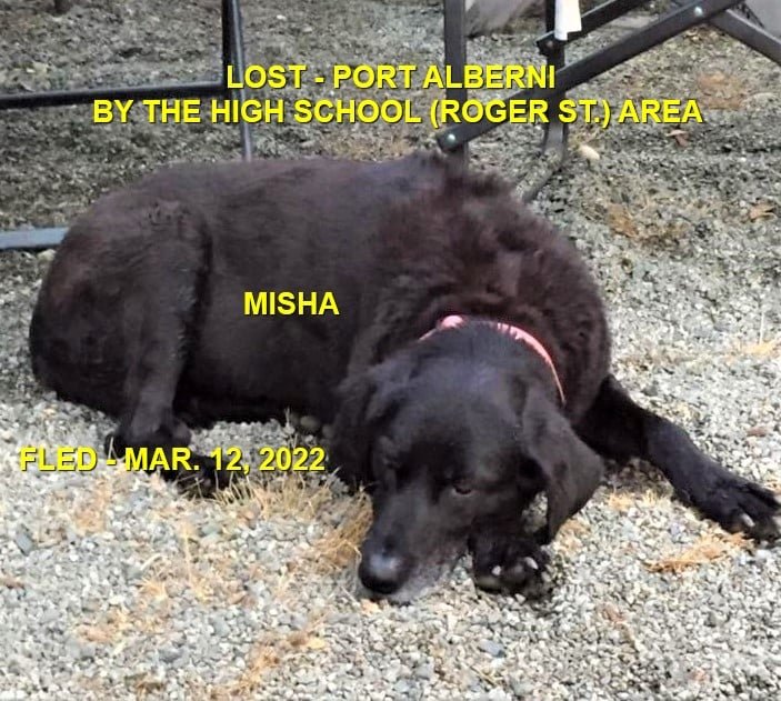 HAPPY ENDINGS - PORT ALBERNI BC. / MISHA / MAR. 12, 2022