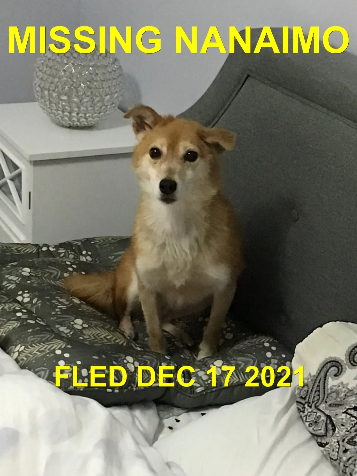 STILL MISSING - NANAIMO BC / BEBE / DEC. 16, 2021
