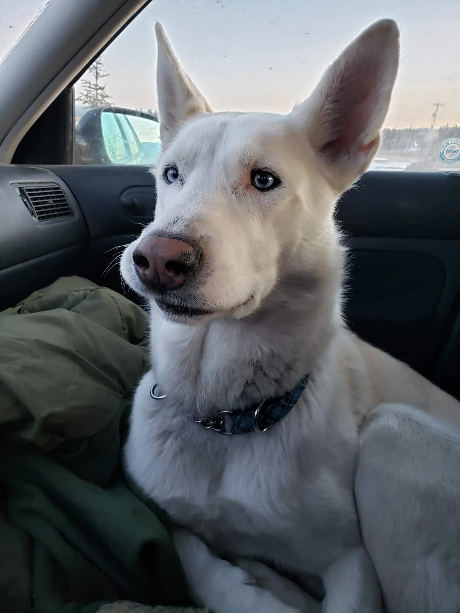 STILL MISSING - DIED BY GUNSHOT - CAMPBELL RIVER BC / BALU / DEC. 8, 2021