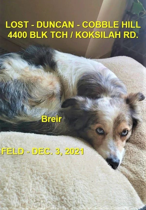 STILL MISSING - COBBLE HILL BC / BREIR / DEC. 1, 2021