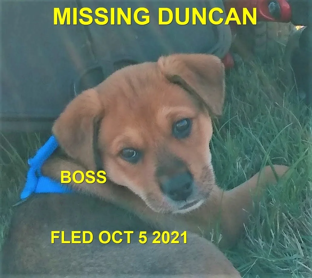 STILL MISSING - DUNCAN BC./ BOSS / OCT. 5, 2021