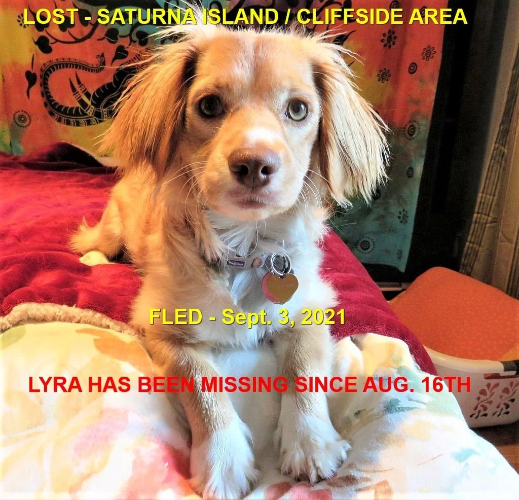 STILL MISSING - SATURNA ISLAND BC. / LYRA / AUG. 16, 2021