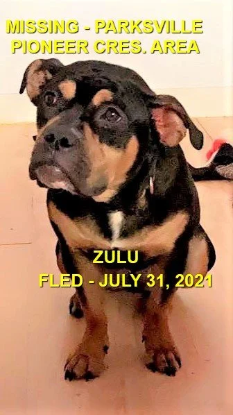 STILL MISSING - PARKSVILLE BC. / ZULU / JULY 31, 2021