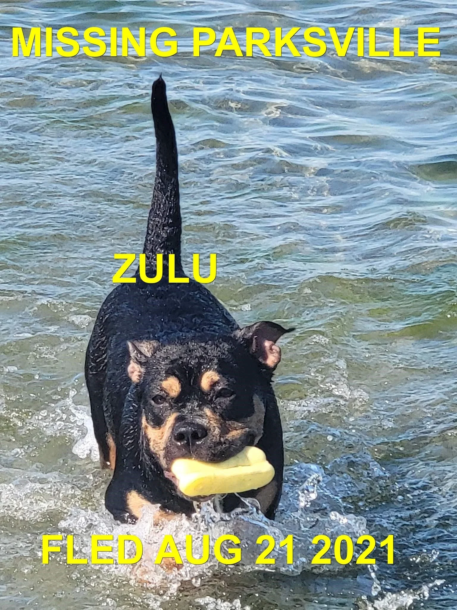 STILL MISSING AGAIN - PARKSVILLE BC. / ZULU / AUG. 3, 2021