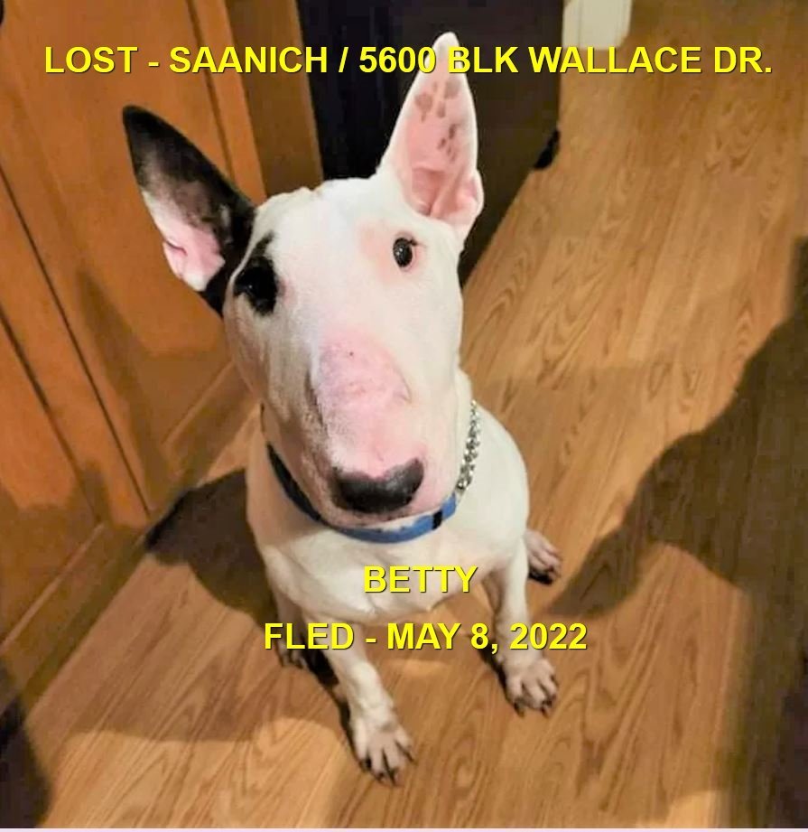 HAPPY ENDINGS - SAANICH BC / BETTY / MAY 8, 2022