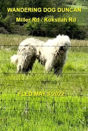 HAPPY ENDINGS - DUNCAN BC / MAY 8, 2022